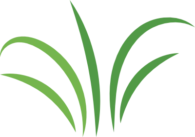 A stylised drawing of a tuft of grass